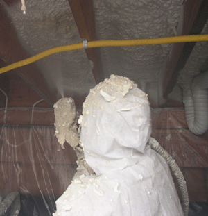 Tacoma WA crawl space insulation